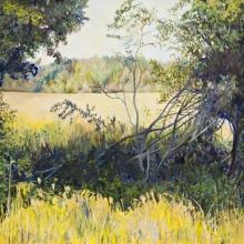 Fields Edge
