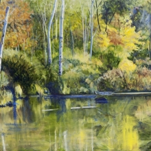 Peaceful Stream
