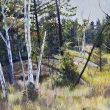 Northern Meadow