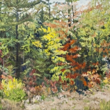 Autumn Glistens