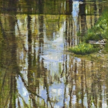 Creek Reflections
