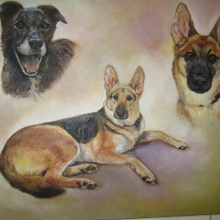 Bruces Dogs