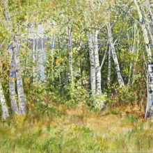 Groulx-Birch-Woods-oil-on-canvas-24-x-36-1400.00