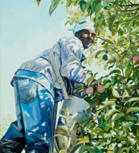 The Apple Picker